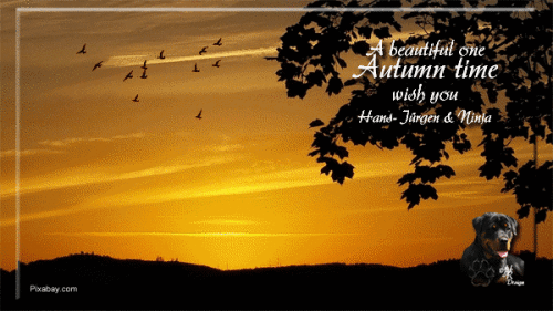 A beautiful one Autumn time wish you 1